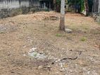 Land for Sale in Koralaima