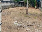 Land for Sale in Koralaima