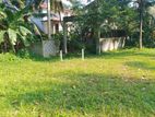 Land for Sale in Koralaima