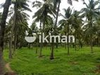 Land For Sale In Kosgama Area