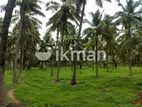 Land For Sale In Kosgama Area