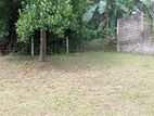 Land for Sale in Kosgama