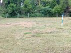 Land for Sale in Kosgama