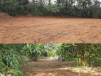 Land for Sale in Kosgama