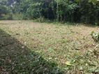 Land for Sale in Kosgama