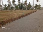 Land for Sale in Kotadeniyawa