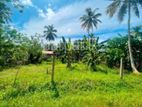 Land for Sale in Kotadeniyawa, Mirigama