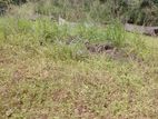 Land for Sale in Kotalawala 10 P