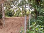 Land for Sale in Kotalawala 11.5 P