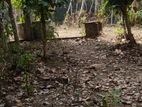 Land for Sale in Kotawila, Kamburugamuwa, Matara