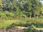 Land for sale in Kothalawala 53P