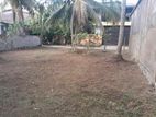 Land for sale in Kotikawaththa