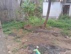 Land for sale in Kotikawaththa