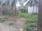 Land for Sale in Kotikawaththa