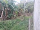 Land for sale in Kotikawaththa