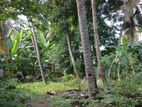 Land For Sale in Kotikawatta - CL724