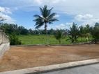 Land for Sale in Kottawa