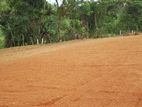 Land for Sale in Kottawa