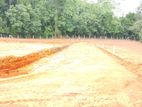 Land for Sale in Kottawa