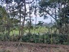 Land for sale in Kottawa