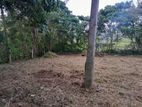 Land for sale in Kottawa