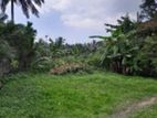 Land for Sale in Kottawa, Hiripitiya