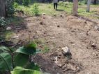 Land for Sale in Kottawa [ LS-718]