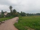 Land For Sale In Kottawa (Mahalwarawa)