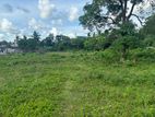 Land For Sale In Kottawa (Near Town Area)