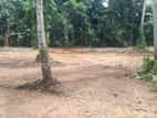 Land for Sale in Kottawa Niyadagala