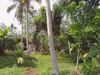 Land for Sale in Kottawa Rukmalgama