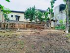 Land for Sale in Kotte
