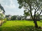 Land for sale in Kotte