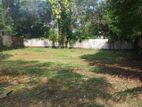 Land for Sale in Kotte