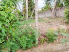 Land for Sale in Kotte