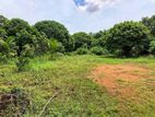Land for Sale in Kotte