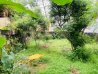 Land for Sale in Kotte