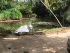 Land for Sale in Kotte