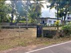 Land for Sale in Kotte