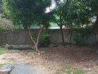 Land for Sale in Kotte