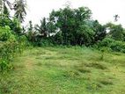 Land for Sale in Kotte - Madiwela