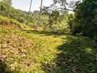 Land for Sale in Kudugala