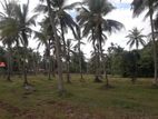 Land For Sale in කුලියාපිටිය