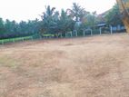 Land for Sale in Kuliyapitia T4