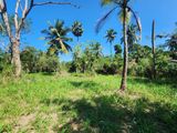 Land for Sale in Kuliyapitiya Dandagamuwa Mahimpitiya Road