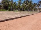 Land for Sale in Kuliyapitiya