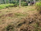 Land for Sale in Kuliyapitiya