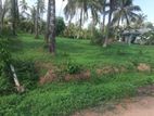 Land for sale in Kuliyapitiya