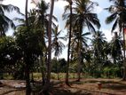 Land for Sale in Kuliyapitiya