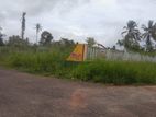Land for Sale in Kuliyapitiya